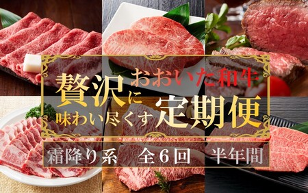 毎月お届け! おおいた和牛を贅沢に味わい尽くす半年間定期便 / 霜降り系 計6回_2313R