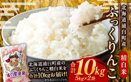 〈令和8年産〉浦臼産 ふっくりんこ 精白米 10kg （5kg×2袋） お米 米 ブランド米 北海道産 北海道 浦臼町 【2026年11月上旬より順次発送】