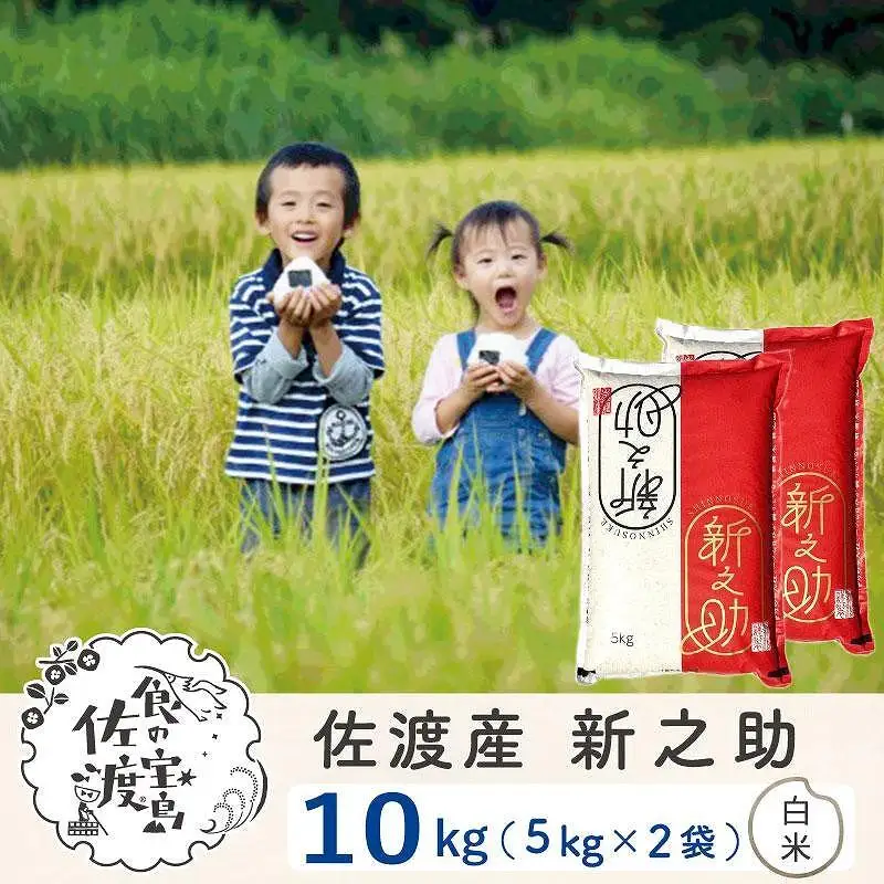 佐渡島産 新之助 精米10kg(5kg×2袋）令和7年産