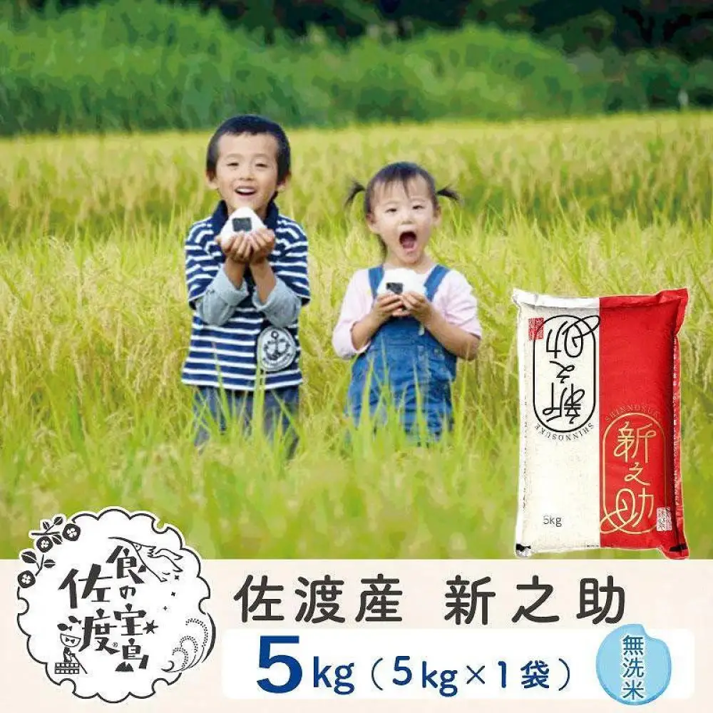 佐渡島産 新之助 無洗米5kg×1袋