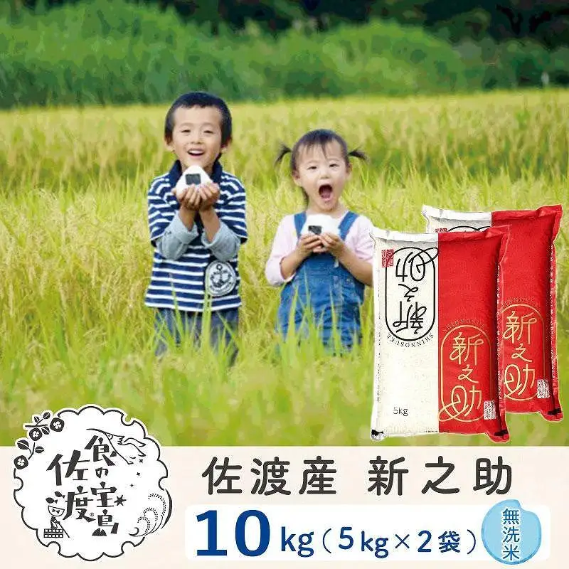 佐渡島産 新之助 無洗米10kg（5kg×2袋）令和7年産