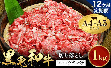 【12ヶ月定期便】黒毛和牛 牛肉 切り落とし 小分け 1kg  定期便 田中畜産