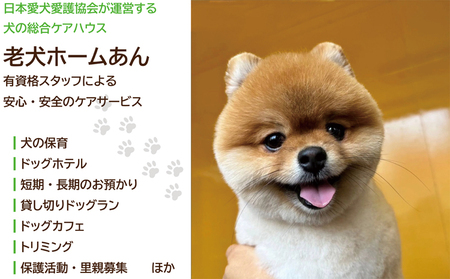 老犬ホーム あん施設利用券（9,000円分） 犬専用総合ケアハウス 愛犬愛護活動　[030RA001]