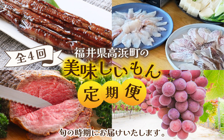 【旬の4回定期便】福井県高浜町の美味しいもん 定期便【旬の時期にお届け】 頒布会 ごちそう