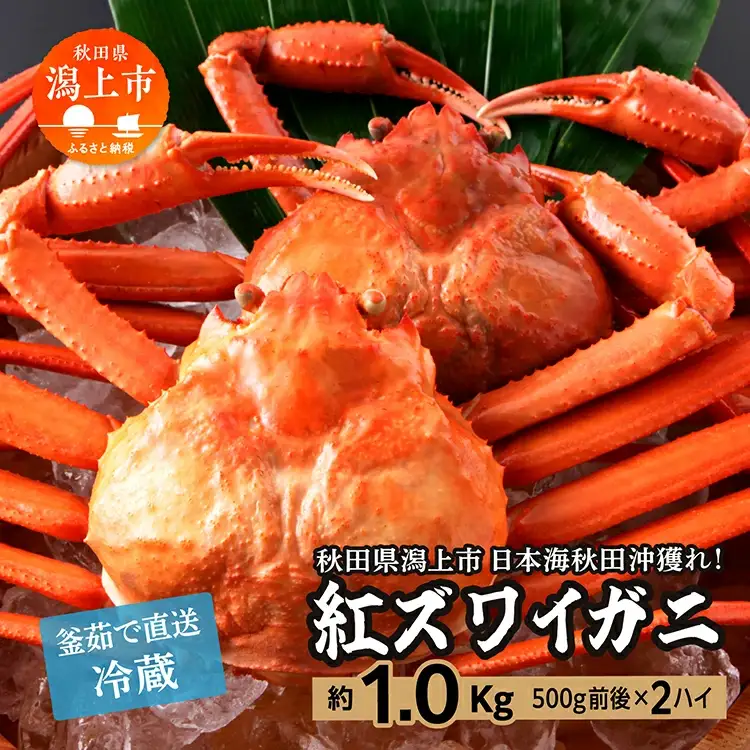 紅ズワイガニ 冷蔵 2匹 1.0kg【安田水産】