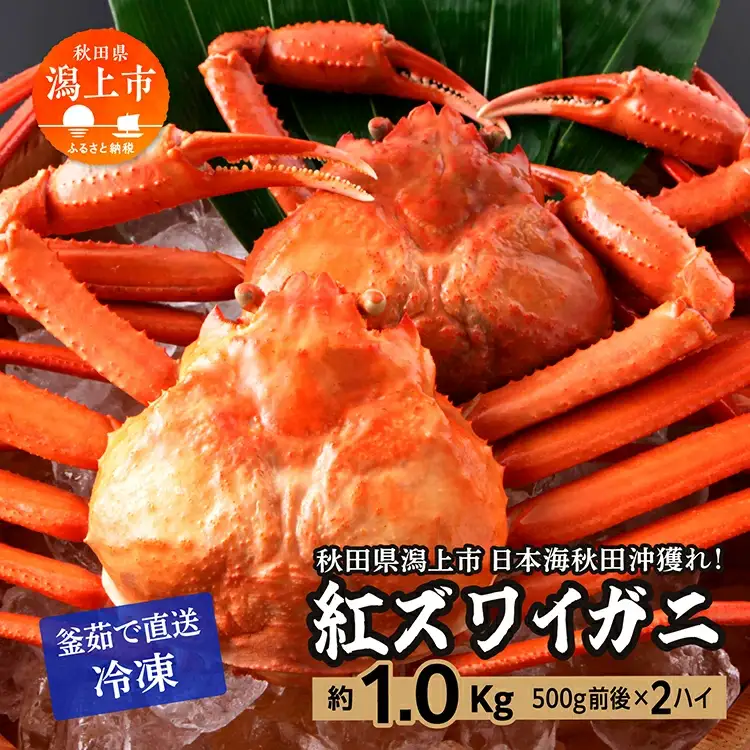 紅ズワイガニ 冷凍 2匹 1.0kg【安田水産】