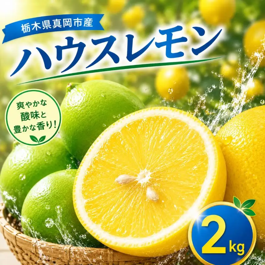 【先行予約】【2kg】真岡市産 ハウス レモン