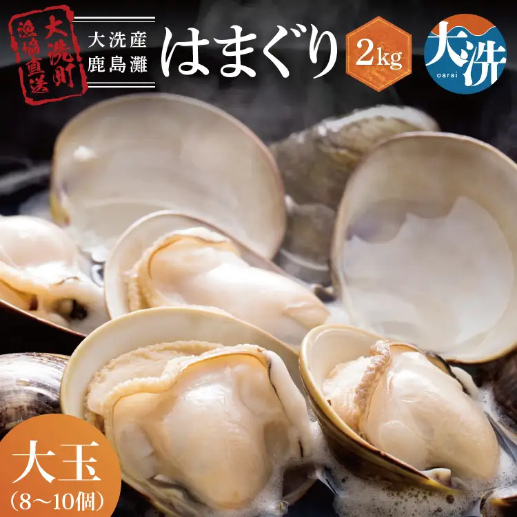 大洗産鹿島灘天然はまぐり 2㎏ 冷蔵 ハマグリ 蛤 貝 砂抜き処理 大洗産 天然 はまぐり_BQ008
