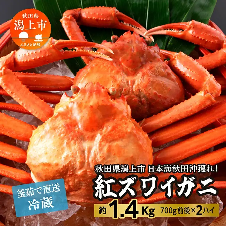 紅ズワイガニ 冷蔵 2匹 1.4kg【安田水産】