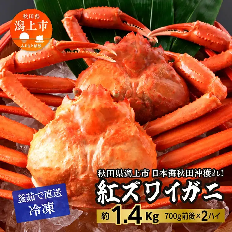 紅ズワイガニ 冷凍 2匹 1.4kg【安田水産】