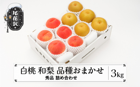 先行予約 白桃 和梨 詰め合わせ 秀品 品種おまかせ 化粧箱入り 計3kg 2026年産 令和8年産 もも なし梨 フルーツ 果物 セット アソート 山形県産 ※沖縄・離島への配送不可 ns-fshnx3