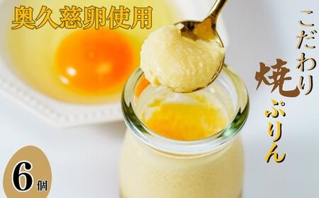 奥久慈たまごのなめらか焼きプリン 6個入り | プリン 焼きプリン