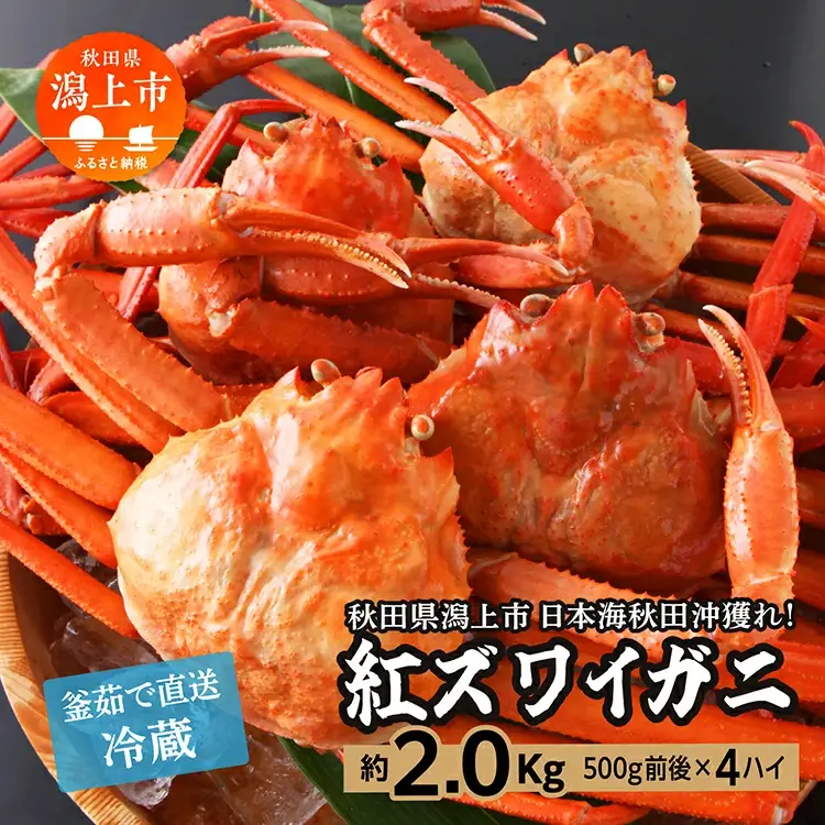 紅ズワイガニ 冷蔵 4匹 2.0kg【安田水産】