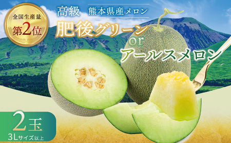 メロン 2玉 肥後グリーン or アールスメロン |  メロン 果物 フルーツ めろん マスクメロン 熊本県 玉名市