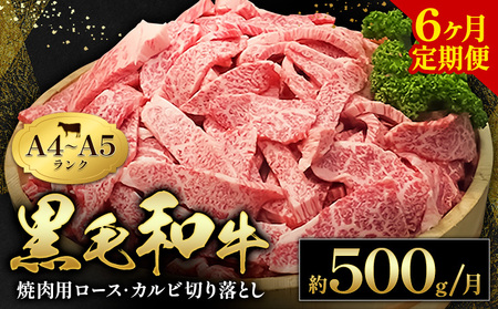 【6ヶ月定期便】黒毛和牛 牛肉 ロース カルビ 切り落とし 500g 田中畜産