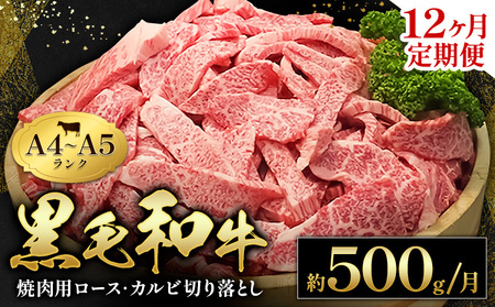 【12ヶ月定期便】黒毛和牛 牛肉 ロース カルビ 切り落とし 500g 田中畜産