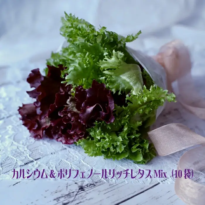 カルシウム&ポリフェノールリッチレタスMix（10袋セット）　【07208-0091】
