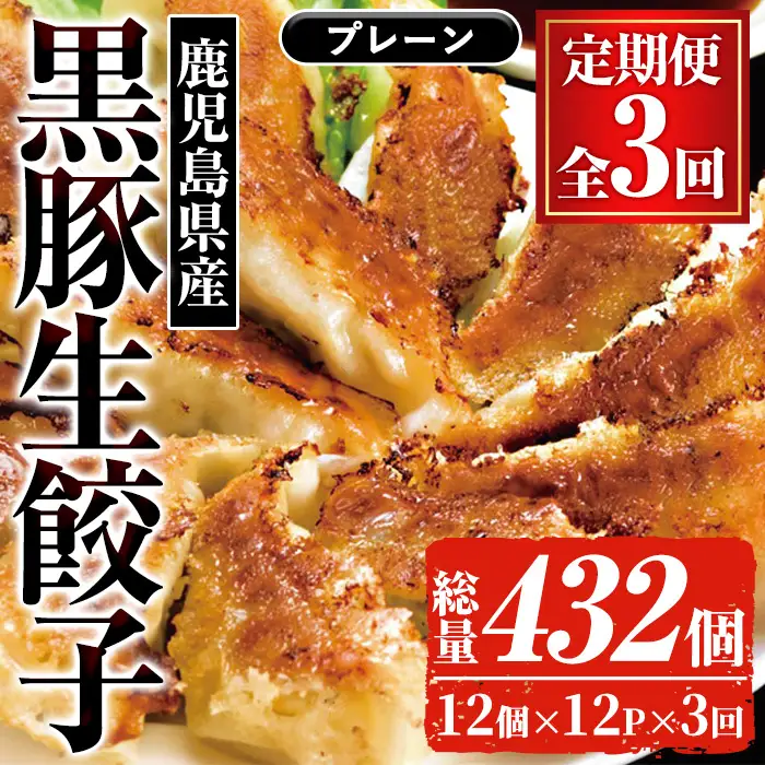 【3か月定期便】鹿児島黒豚生餃子合計144個（12個×12P）を3回お届け♪【00-008-19-TK】