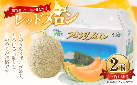 レッドメロン 2玉 （1玉 約1.6kg） 【2026年7月上旬～2026年7月下旬発送予定】 果物 フルーツ メロン めろん 赤肉 赤肉メロン 贈答 北海道 浦臼町