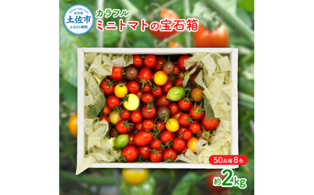 【先行予約】カラフルミニトマトの宝石箱 （約2kg）〈2026年12月下旬から順次発送〉高知県 土佐市【ファーム輝】 [BQBM007]