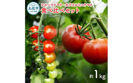 【先行予約】フルーツトマト食べくらべセット 約1kg 〈2027年1月下旬から順次発送〉高知県 土佐市【ファーム輝】 [BQBM003]