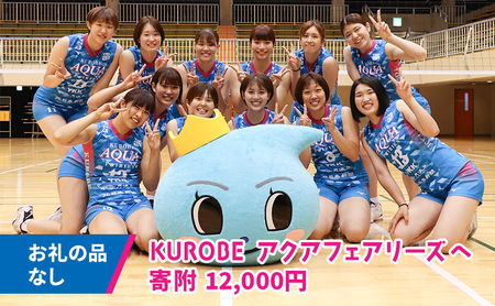 【お礼の品なし】KUROBEアクアフェアリーズへの応援寄附12,000円 女子バレー 女子バレーボール 返礼品なし 