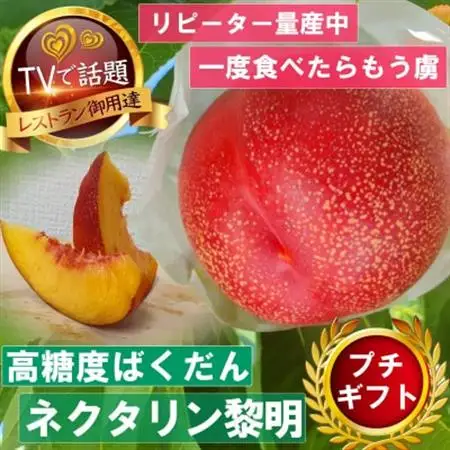 【高糖度ばくだんネクタリン黎明】桃グランプリ日本一受賞＆5年連続TV出演で話題2026年7月中旬発送【配送不可地域：離島・北海道・沖縄県・中国・四国・九州】【1465188】