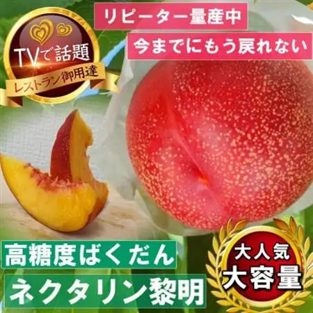《高糖度ばくだんネクタリン黎明》桃グランプリ日本一受賞＆5年連続TV出演で話題2026年7月中旬発送【配送不可地域：離島・北海道・沖縄県・中国・四国・九州】【1465189】