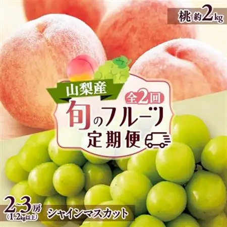 【発送月固定定期便】山梨市フルーツ定期便(桃・シャインマスカット)全2回【配送不可地域：離島】【4006310】