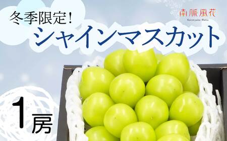 ＜2026年発送分先行予約＞冬に食べる　シャインマスカット1房（約500～600g）ALPAJ011