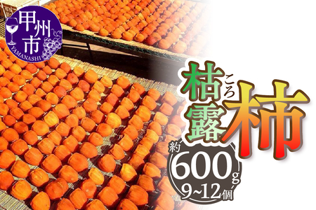 厳選！山梨県甲州市産 ころ柿 枯露柿 甲州百目 小3号箱 約600g【2026年度発送】（THR）B-806