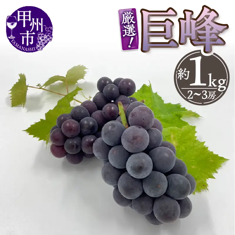 厳選！山梨県甲州市産 巨峰 約1kg（2～3房）【2026年発送】（THR）B-804 巨峰 フルーツ