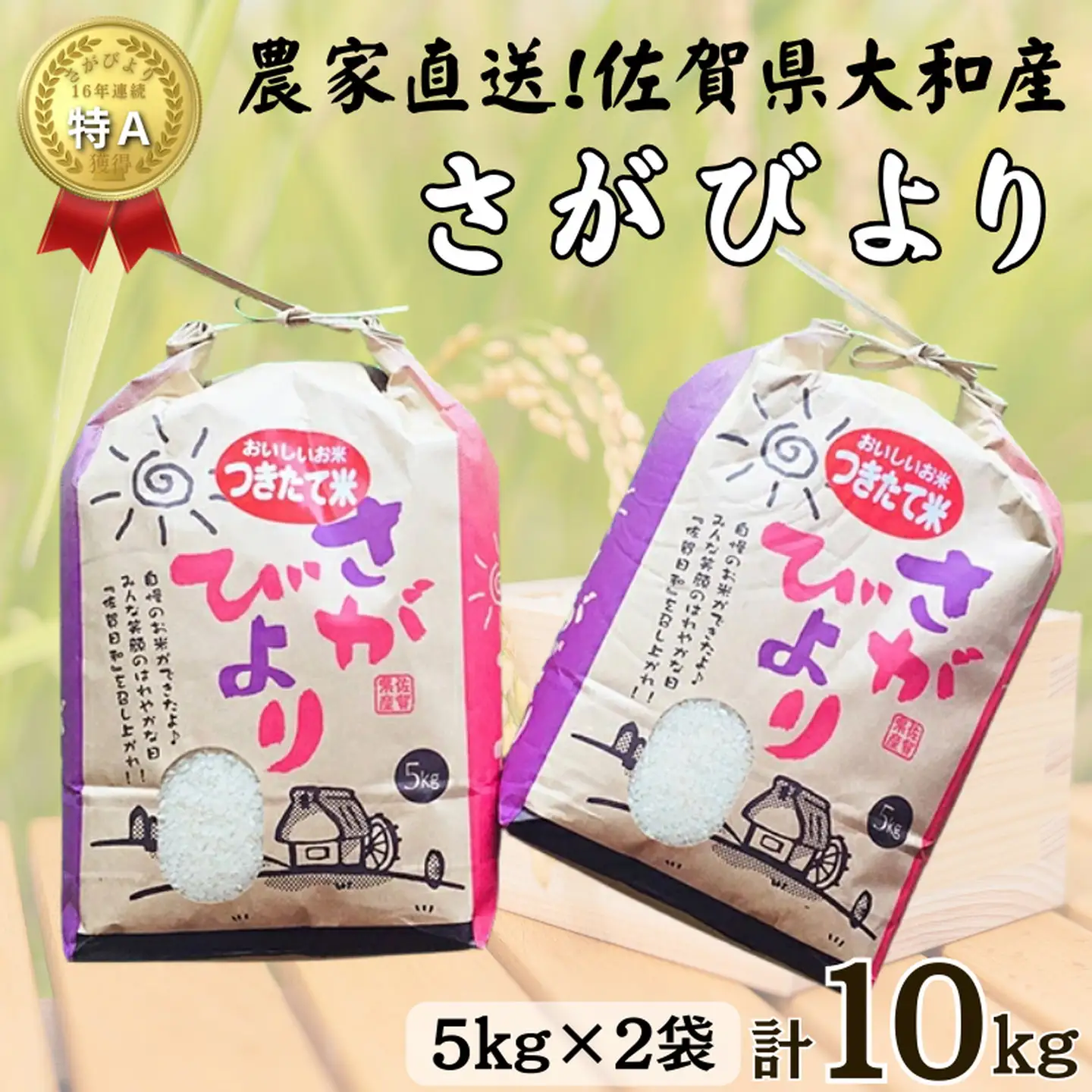 佐賀県大和産「さがびより」5kg×2袋 米 農家直送：B320-017