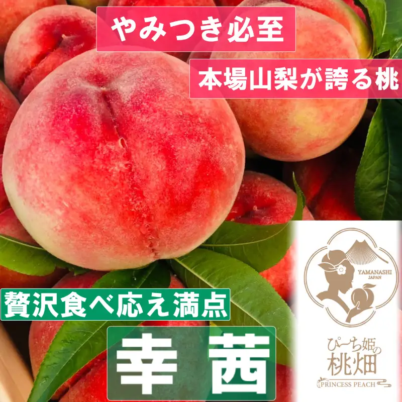 【食べ応え満点の幸茜ブランド】大玉ごろごろサイズ人気No.1の品種 約1kg【2026年発送】（PMK）B17-103 　桃 もも