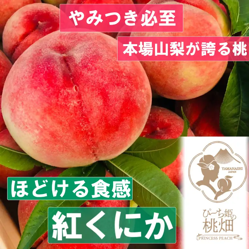 【なめらかホロホロ食感紅くにかブランド】ほどける食感がやみつき人気品種 約1kg【2026年発送】（PMK）B17-104 【紅くにか 桃 もも モモ 令和8年発送 期間限定 山梨県産 甲州市 フルーツ 果物】