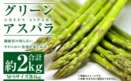 グリーンアスパラ M・Sセット  合計約2kg 【2026年5月下旬～6月下旬迄発送予定】 野菜 アスパラガス アスパラ 旬 M S 北海道 浦臼町