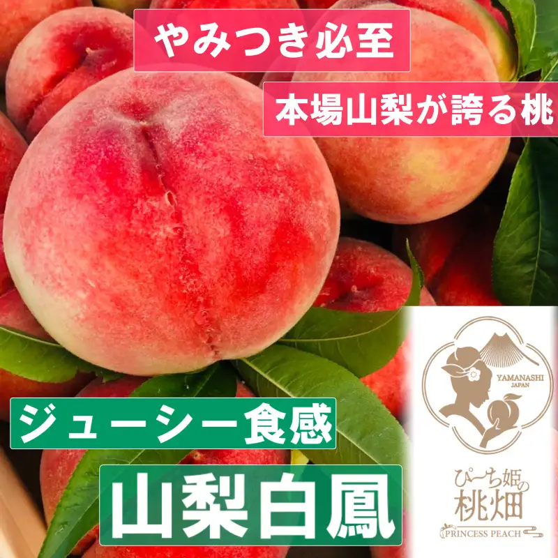 【ジューシー食感 山梨白鳳ブランド】選んで間違いない果汁溢れる人気品種 約1kg【2026年発送】（PMK）B17-106【白鳳 桃 もも モモ 令和8年発送 期間限定 山梨県産 甲州市 フルーツ 果物】