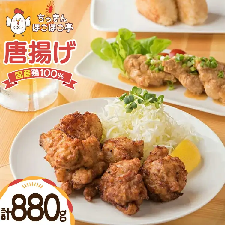 【国産鶏100％使用】 唐揚げ 冷凍 鶏もも 880g [ちっきんほこほこ亭 山形県 高畠町 tk06ayt310000]