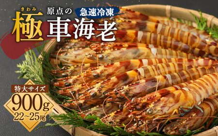 ｢極｣ 原点の車海老 ｢急速冷凍｣ 900g (22～25尾) 特大サイズ【2026年11月下旬より順次発送予定】