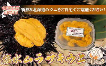 【令和8年度発送先行予約】うに 塩水 ムラサキウニ 80g 北海道 豊浦 噴火湾 雲丹【配送不可地域：離島】【配送不可地域：離島】 