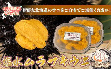 【令和8年度発送先行予約】うに 塩水 ムラサキウニ 80g×2パック 北海道 豊浦 噴火湾 雲丹【配送不可地域：離島】 