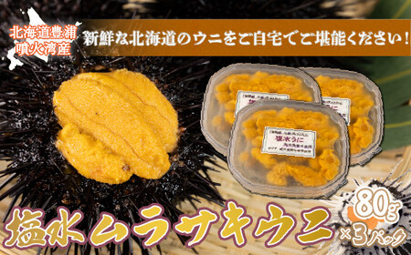 【令和8年度発送先行予約】うに 塩水 ムラサキウニ 80g×3パック 北海道 豊浦 噴火湾 雲丹【 配送不可地域：離島】 