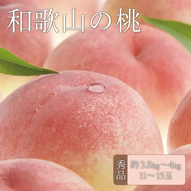 桃 和歌山の桃 秀品 約3.8～4kg (サイズ・品種おまかせ) 【2026年6月中旬～2026年8月中旬頃に順次発送予定】【TC1】【AX004-kgtb800B】