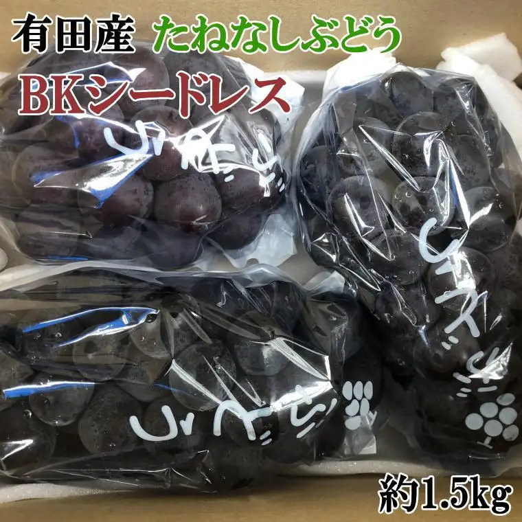 ［先行予約］［数量限定］希少なぶどう「BKシードレス」約1.5kg★2026年８月中旬頃より順次発送