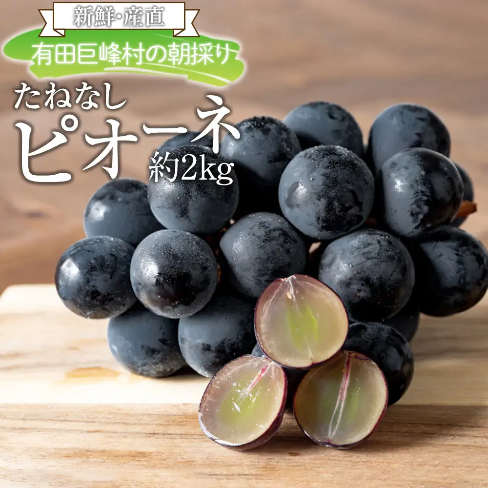 ［新鮮・産直］有田巨峰村の朝採りたねなしピオーネ　約2kg★2026年８月中旬頃より順次発送 | ぶどう 巨峰 ぶどう