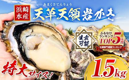 岩かき 1.5kg かき浜崎水産 牡蠣 生食