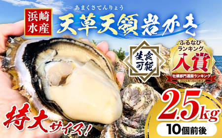 岩牡蠣 2.5kg かき 浜崎水産 牡蠣 生食