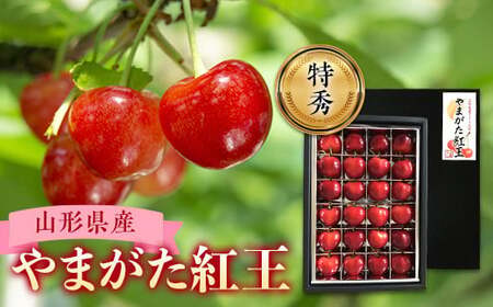 《2026年産先行受付》山形県産さくらんぼ【山形紅王 特秀品】 FSY-0020