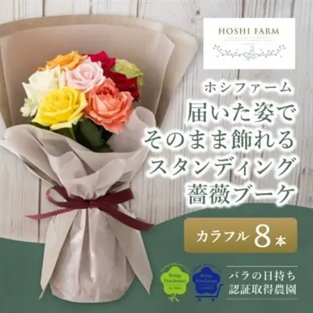 ホシファーム　届いた姿でそのまま飾れるスタンディング薔薇ブーケ　カラフル8本_花・観葉植物  花 _【配送不可地域：離島・北海道・沖縄県】【1465217】