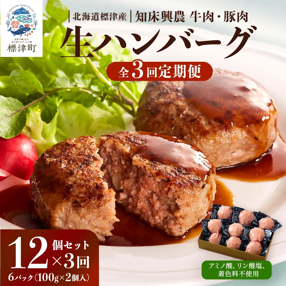 【毎月定期便】生ハンバーグ12個セット　冷凍 国産 牛肉 豚肉 ギフト 小分け 人気 全3回【配送不可地域：離島】【AC001】
